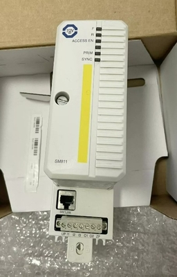 ABB SM811K01 3BSE018173R1 Safety Central Processing Unit Module  High Integrity